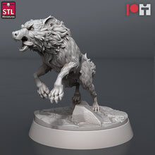 Load image into Gallery viewer, Werewolf Miniatures | Werewolves | Wolf Miniatures | Wolves | Dire Wolves | Wild Dogs | Curse of Strahd | DnD | Dungeons and Dragons | RPG
