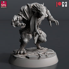 Load image into Gallery viewer, Werewolf Miniatures | Werewolves | Wolf Miniatures | Wolves | Dire Wolves | Wild Dogs | Curse of Strahd | DnD | Dungeons and Dragons | RPG
