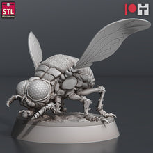 Load image into Gallery viewer, Giant Fly Set | Giant Flies | Giant Insects | Giant Bugs | Frostgrave | Fly Swarm | Pathfinder | RPG | Dungeons and Dragons | DnD 5e
