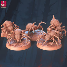 Load image into Gallery viewer, Giant Spider Miniature Set | Large Spider | Giant Spider | Spider Swarm | Wolf Spider | Shelob | 5E | Dungeons and Dragons |DnD |5th Edition
