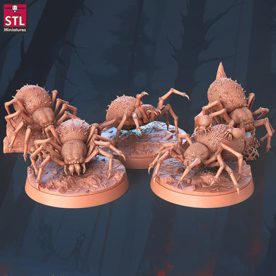 Giant Spider Miniature Set | Large Spider | Giant Spider | Spider Swarm | Wolf Spider | Shelob | 5E | Dungeons and Dragons |DnD |5th Edition