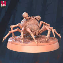 Load image into Gallery viewer, Giant Spider Miniature Set | Large Spider | Giant Spider | Spider Swarm | Wolf Spider | Shelob | 5E | Dungeons and Dragons |DnD |5th Edition
