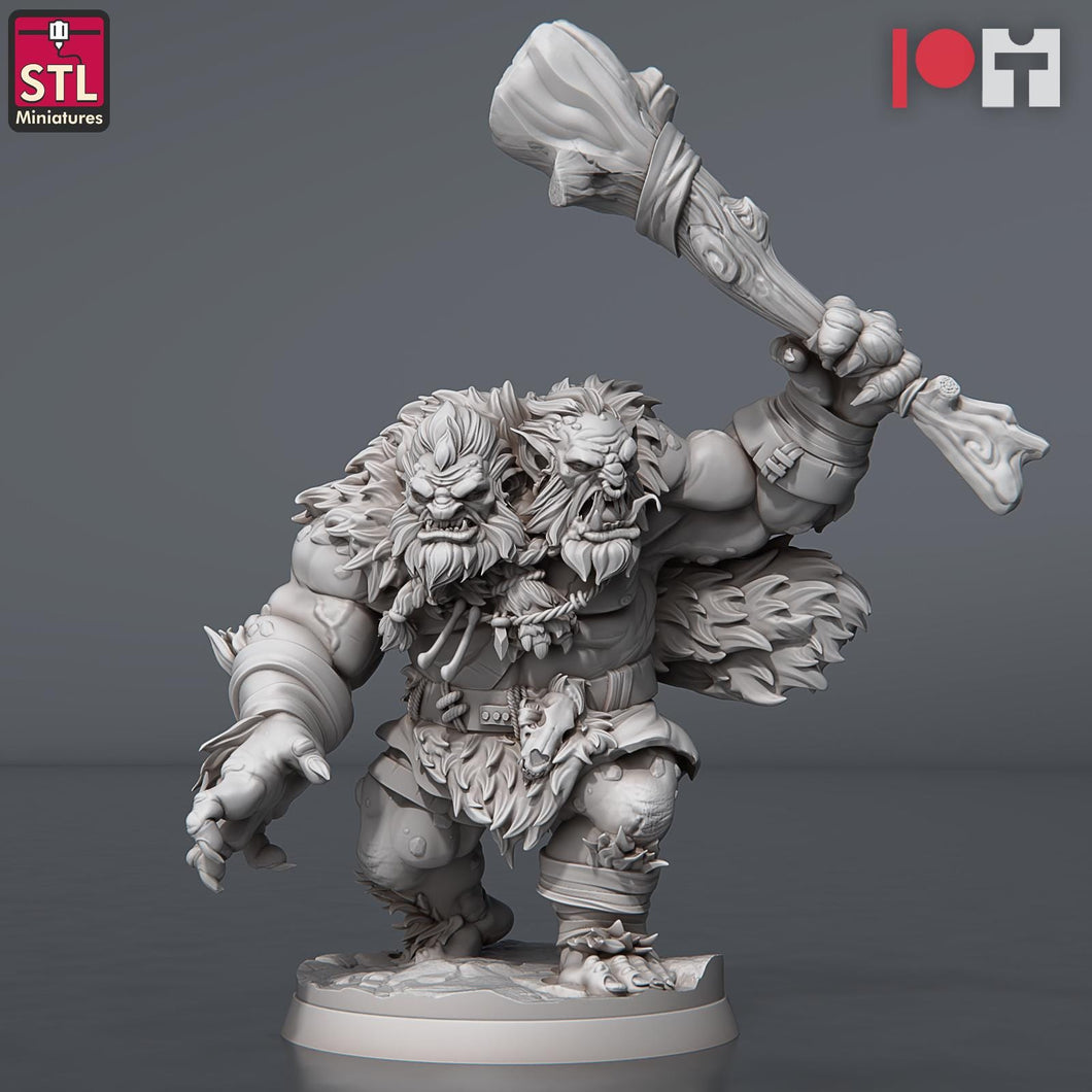 Two Headed Troll | Troll | Snow Troll | Hill Giant | Ettin | Dungeons and Dragons | RPG | 32mm | 5e | DnD 5th Edition | Large Creature